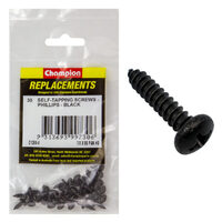 Champion C1200-4 Pan Head Self Tapping Screw 4.2 x 9.5mm - 30/Pack