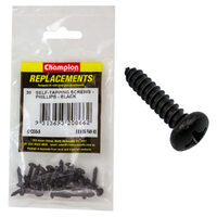 Champion C1200-5 Pan Head Self Tapping Screw 4.2 x 16mm - 30/Pack