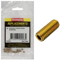 Champion C1416-9 Metric Grub Screw 5 x 5mm - 20/Pack