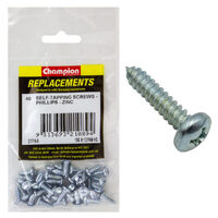 Champion C1710-9 Pan Head Self Tapping Screw 4.8 x 13mm - 40/Pack