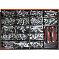 Champion CA5418 Socket Head Cap Screw Imperial Master Kit with Tool