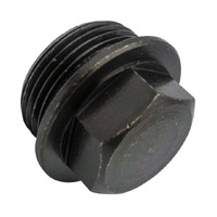 Champion Drain (Sump) Plug M24 x 1.5mm