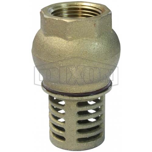Dixon 20mm Brass Foot Valve BSP