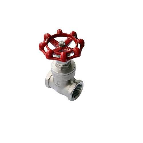 AAP 15mm, 1/2" Stainless Steel Gate Valve SSGA15