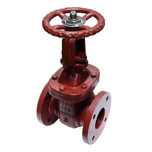 AAP 2-1/2" Cast Iron Flanged Gate Valve Rising Stem Table-E  VCIGRS65E