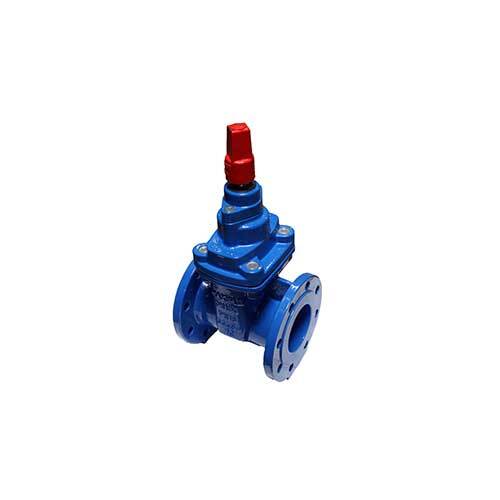 AAP 14" Resilient Gate Valve Clockwise Spindle Cap Table-C VRSCC350C