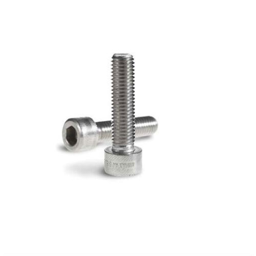 M3 x 6 Socket Head Cap Screw - Stainless Steel High Tensile Screw