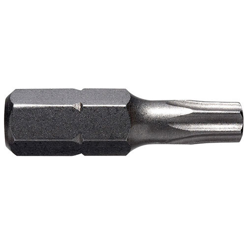 Alpha TX30 x 25mm Torx 5 Point Tamper Proof