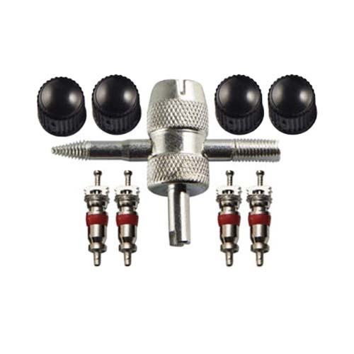 Champion BVALVE Airline Tyre Valve Care Pack Steel -Box of 3