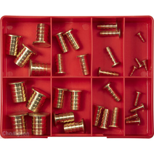 Champion CA40 Hose Plug Barbed Brass Assortment Kit - 32 Pieces
