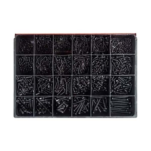 Champion CA2100 Metric Black Machine Screw Master Kit