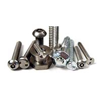 Security Fasteners